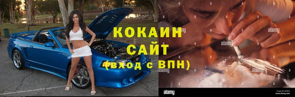 гашик Алексин