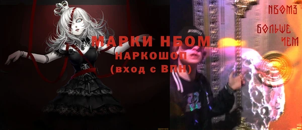 гашик Алексин