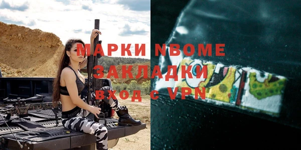 гашик Алексин