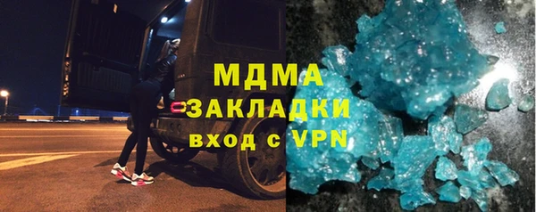 гашик Алексин