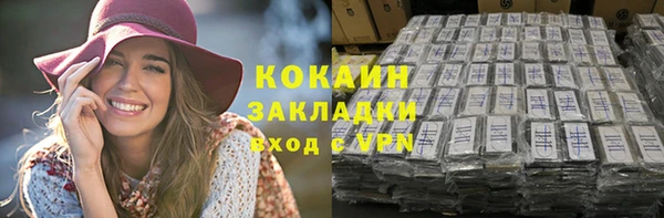 индика Абинск