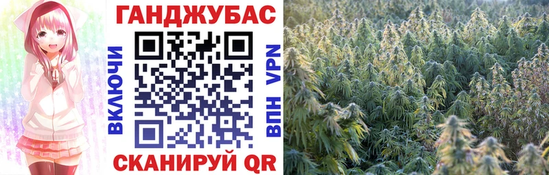 где купить наркотик  KRAKEN ССЫЛКА  Бошки Шишки Amnesia  Раменское 